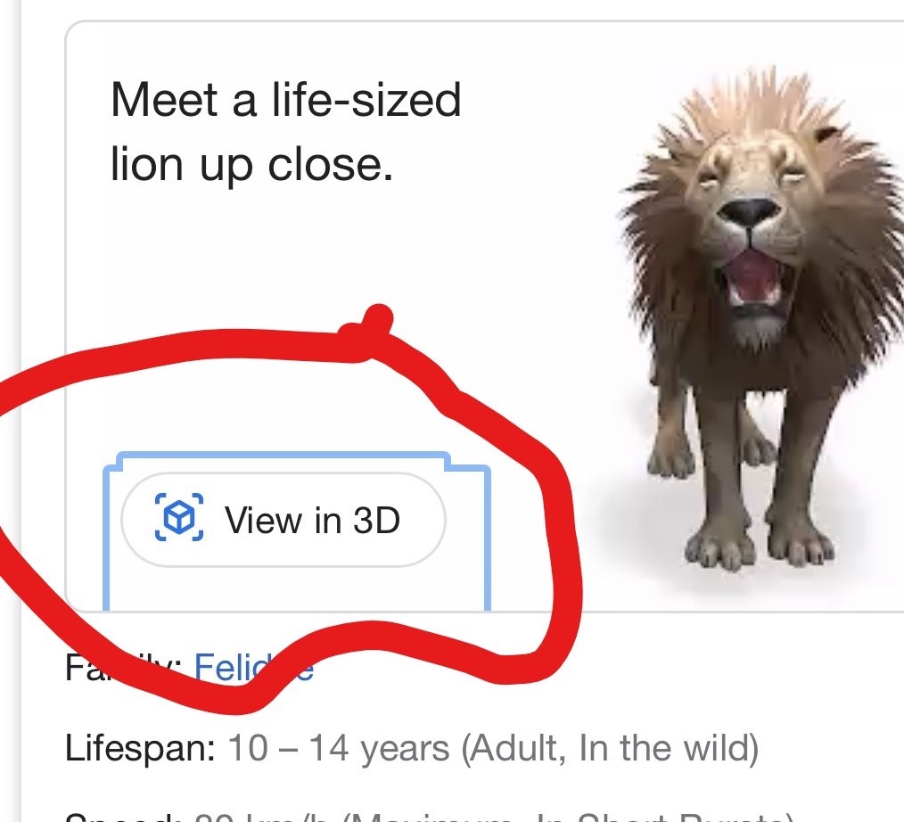 Любимые животные в формате 3D: Google дает возможность увидеть проекцию зверей в доме